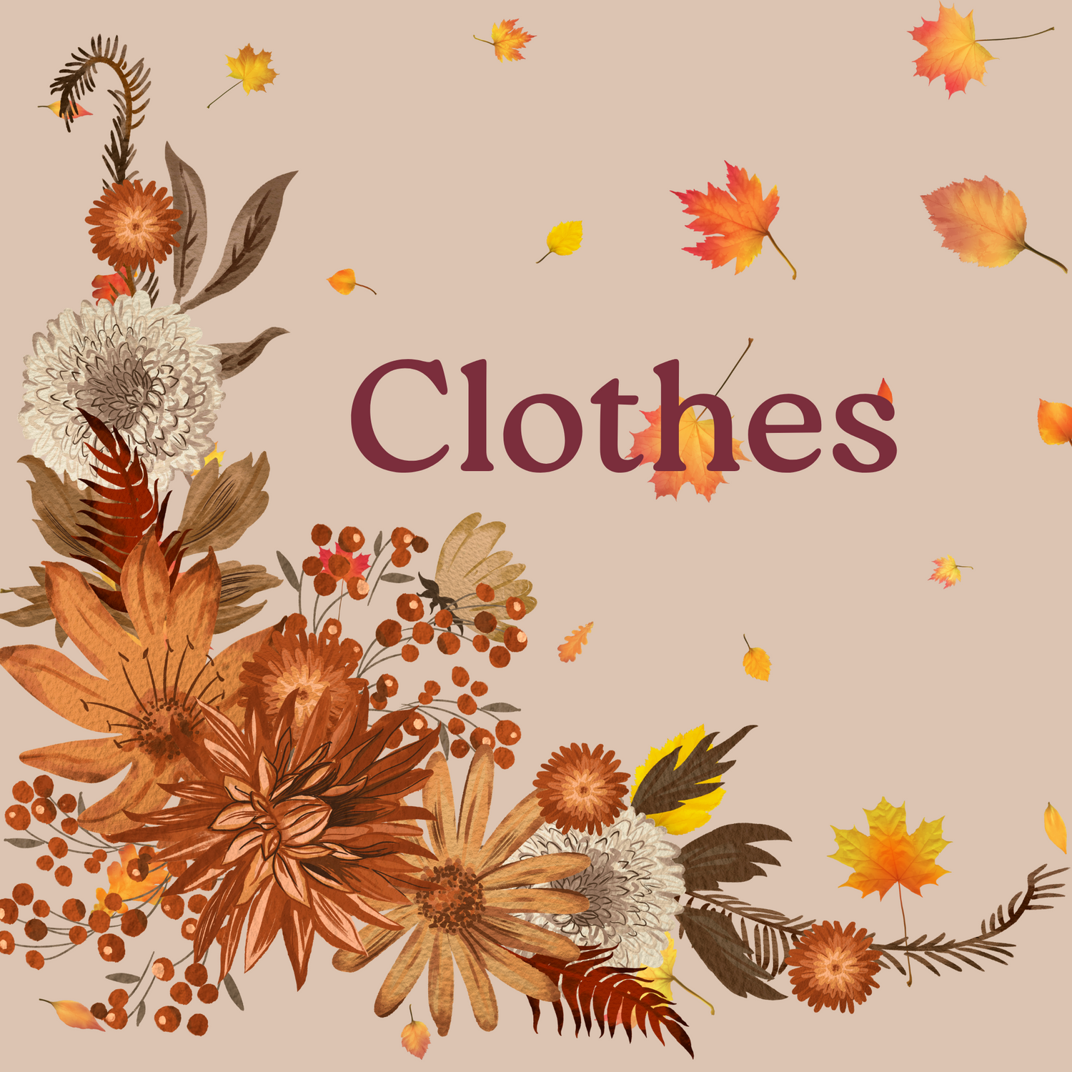 Clothes